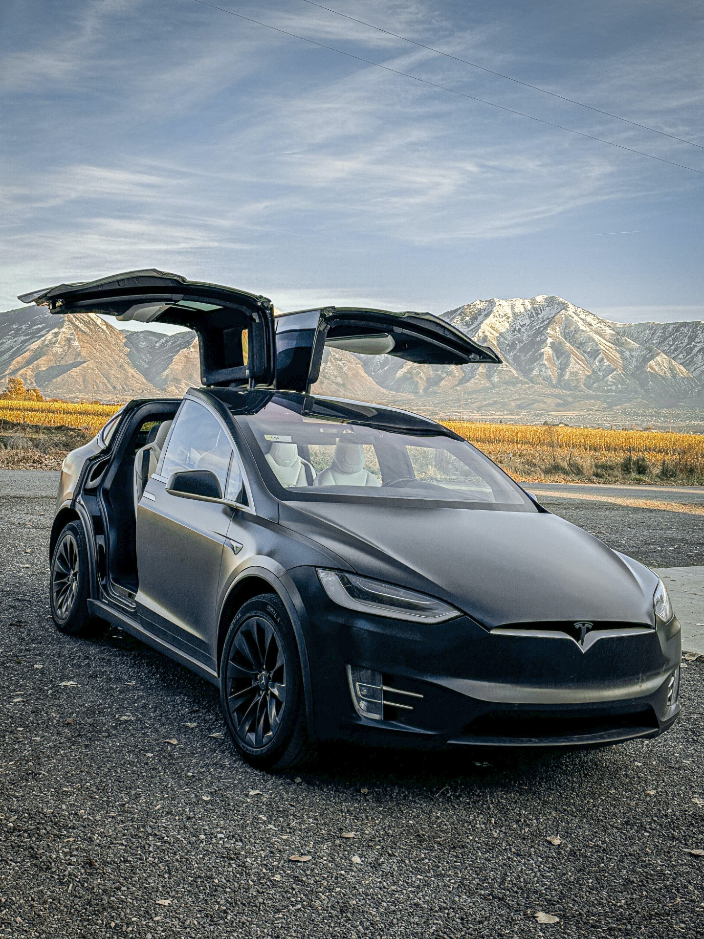 Model X